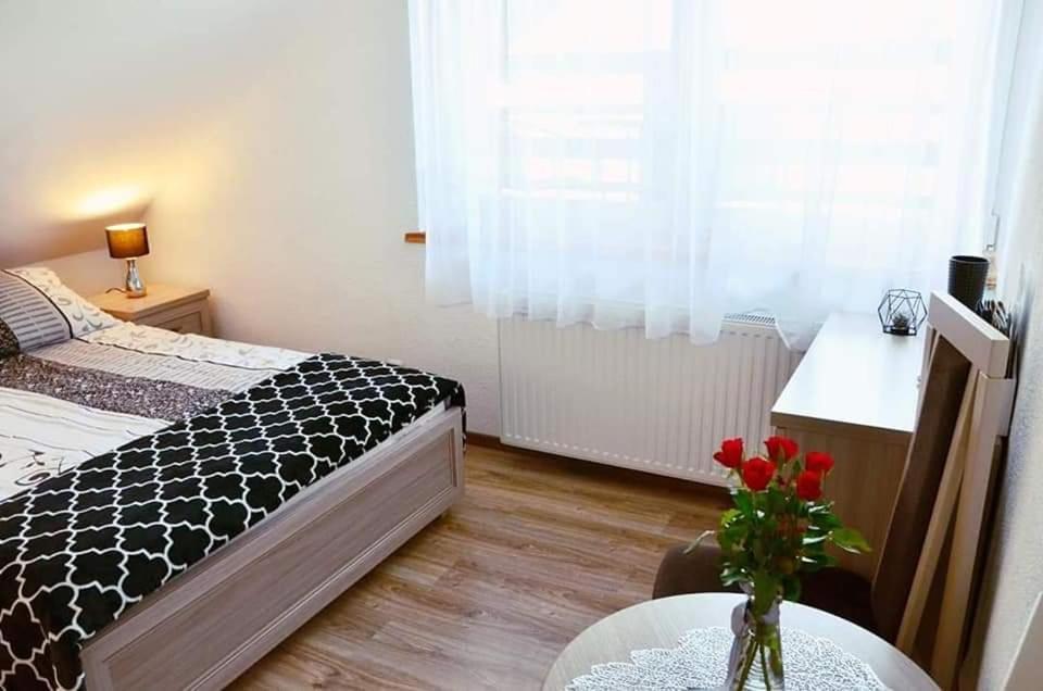 Pokoje Goscinne "Trudzin-Ski" Świeradów-Zdrój Exteriör bild